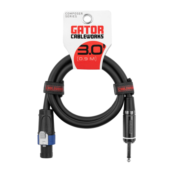 3 Foot TS To Twist Lock Connector Speaker Cable GCWC-SPK-03-1TL