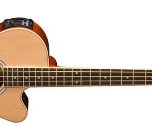 Washburn Cutaway Acoustic Electric Bass Guitar. Natural / AB5 / AB5K-A-U