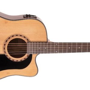 Washburn Apprentice Dreadnought Acoustic Electric Guitar Pack / AD5CEPACK-A
