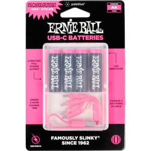 P09643 USB-C Rechargeable Battery by Pale Blue – AA 4pk