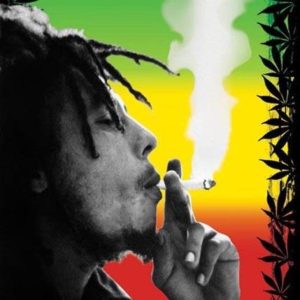 Bob Marley When You Smoke The Herb / 55155R