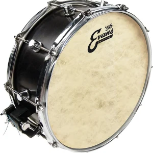 Evans Calftone Drumhead, 14 Inch / TT14C7