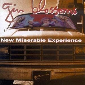 Gin Blossoms – New Miserable Experience
