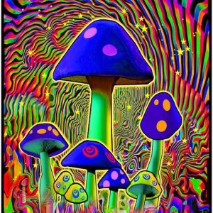 Mind Melt Blacklight / 53127R