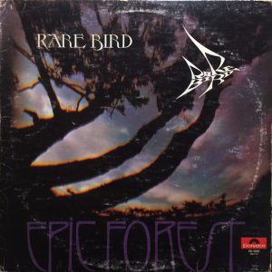 Rare Bird – Epic Forest