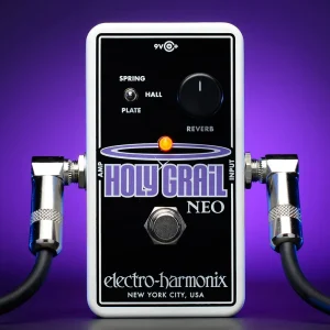 EHX Holy Grail Neo