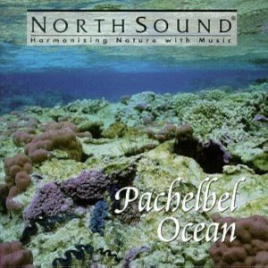 James Pease (2) – Pachelbel Ocean